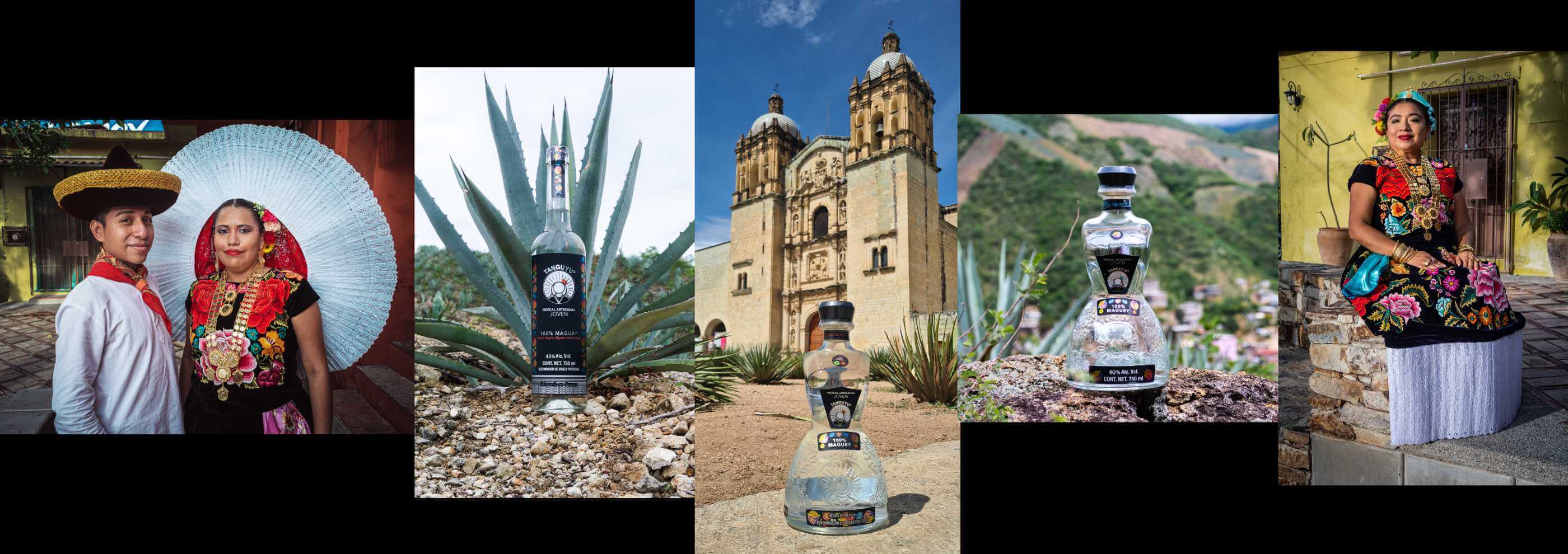 Mezcal Tanguyu Photos