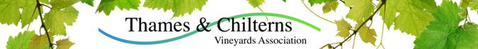 Thames & Chilterns Vineyards Association