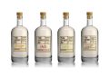 Photo for: Spirit of Ginger