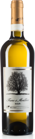 Photo for: Fiano di Avellino D.O.P.
