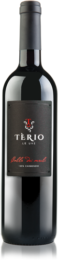 Photo for: “CALLE DEI MERLI” CARMENERE IGT VENETO 2016