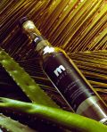 Photo for: Mr. Mezcal