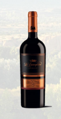 Photo for: La Concepcion - Cepas de Altura - Cabernet Sauvignon
