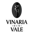 Photo for: Vinaria din Vale Winery