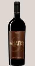 Photo for: Amaino 2015