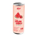 Photo for: OEM, ODM 250ML CANNED WATERMELON BERRY JUICE DRINK