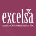 Photo for: Chilean Wine
