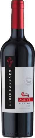 Photo for: Lidio Carraro - Merlot