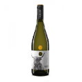 Photo for: Vigneti Radica Pecorino IGP Terre di Chieti White