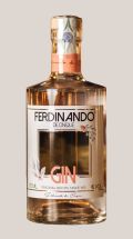 Photo for: Ferdinando de Cinque Gin