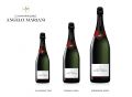 Photo for: Champagne ANGELO MARIANI Grand Cru Brut