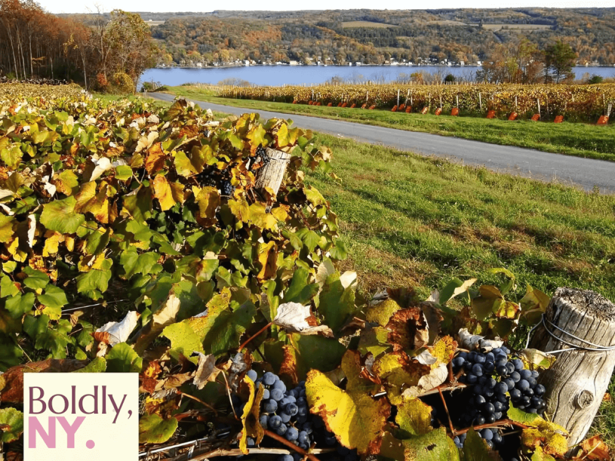 Photo for: Expanding the Table: How NY Wines is Growing Wine Engagement