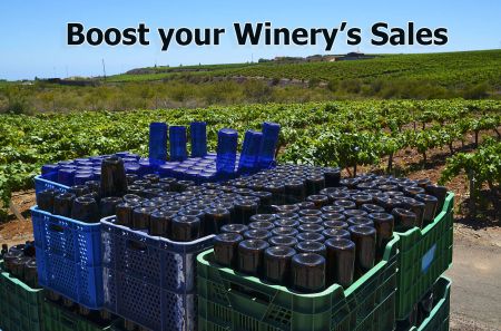 Photo for: Exploring the Bulk Route to Boost your Winery’s Sales