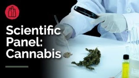 Photo for: Scientific Panel : Cannabis - Dr. Arup Sen, Dr. Jennifer Stamps & Alexey Peshkovsky